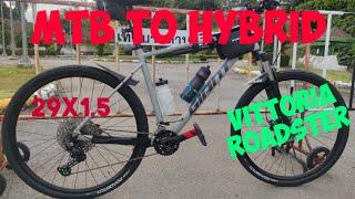 GIANT MTB CONVERT TO HYBRID BIKE  VITTORIA ROADSTER TIRE 29x15 [upl. by Hiro]