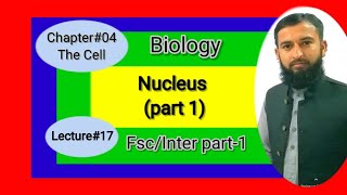 Nucleus  Nucleolus  Nuclear membrane  1st year Fscinter biology ch4 lecture in urduhindi [upl. by Anerehs507]