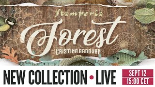 LIVE 511  Forest collection [upl. by Eciruam989]