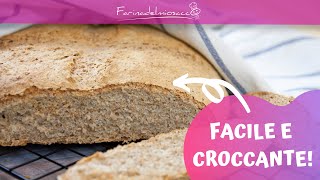 PANE INTEGRALE fatto in casa con la PLANETARIA  Ricetta facile con lIMPASTATRICE  Ep66 [upl. by Eilyac]