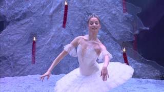 Pyotr Ilyich Tchaikovsky  Anna Nikulina  Dance of the Sugar Plum Fairy  2014 [upl. by Kimberley937]