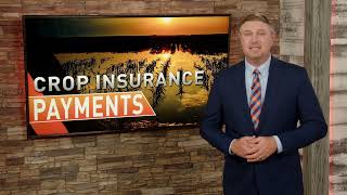 Crop Insurance Payments Unlikely in Illinois [upl. by Regnig9]