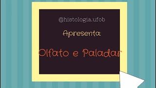 Histologia do Olfato e Paladar [upl. by Heyman]