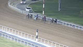 MEYDAN TRIALS 301024 TRIAL 6 [upl. by Amrita]