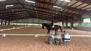 Dressage Training Level Test 3 [upl. by Brittne]