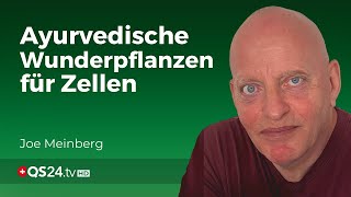 Tulsi und die Kraft der Zellen Ein ayurvedisches Wunder  Erfahrungsmedizin  QS24 [upl. by Etsirhc]