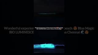 bioluminescence 🌊 In Namma Chennai 😍 [upl. by Newra240]