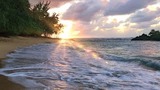 Hawaii Ocean Waves White Noise  Sleep Study Insomnia Relief  Beach Sounds 10 Hours [upl. by Rednaskela]