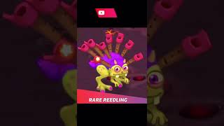 My singing monsters all versions Reedling shorts ytshorts games mysingingmonsters [upl. by Rettuc14]