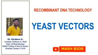 YEAST VECTORS YEP YRP YIP YAC [upl. by Moll]