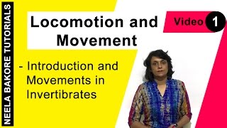 Locomotion and Movement  NEET  Introduction amp Movements in Invertebrates  Neela Bakore Tutorials [upl. by Ainesej565]