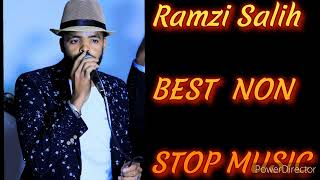 Ramzi Salih Non Stop the best Harari music 🎤🎤👍Najaha amp milki [upl. by Ydnor572]