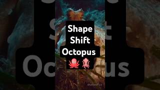 Fact Of he Mimic Octopus Natures Master 🐠🌍 sea octopus animals shorts [upl. by Knutson965]