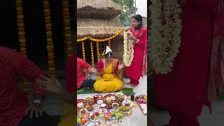 রাখির আইবুড়োভাতে কি কি রান্না বান্না করলামshots trending vlog [upl. by Kerby]