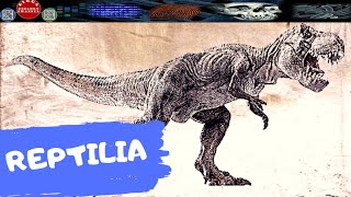 REPTILIA AMNIOTA PALING AWAL  DIRGA BIOLOGY CHANNEL [upl. by Arriat476]