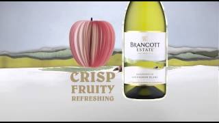 Brancott Estate Marlborough Sauvignon Blanc [upl. by Dennison567]