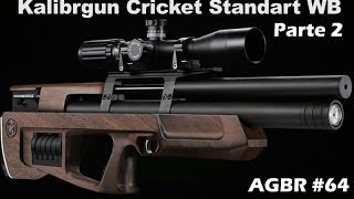 KALIBRGUN CRICKET STD PARTE 2  AGBR 64 [upl. by Khorma406]