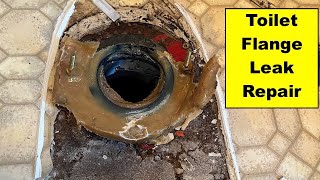 Toilet Flange Leak  Subfloor Replacement [upl. by Ateval]