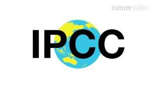 25 years of the IPCC  Nature Video [upl. by Remas973]