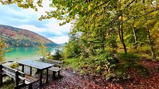 Ein verregneter Herbsttag an der Isar und am Walchensee [upl. by Catton382]