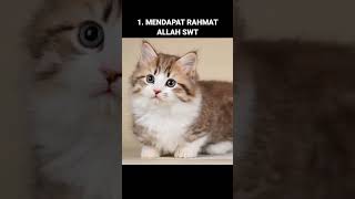 MANFAAT MEMELIHARA KUCING MENURUT ISLAM [upl. by Tammara]