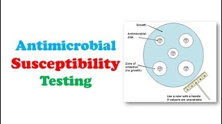 Microbiology 🔤  Antimicrobial Susceptibility Testing [upl. by Ullund]