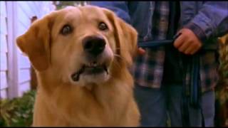 Air Bud Horror Trailer [upl. by Sedgewinn]