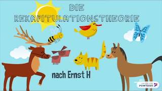 Rekapitulationstheorie nach Ernst Haeckel [upl. by Elroy133]