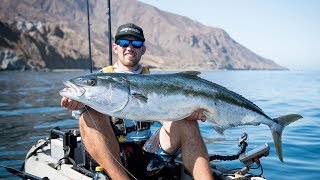 CEDROS ISLAND  Massive 436lb Yellowtail  Day 14 [upl. by Ymmij567]