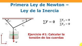 Cómo calcular la tensión de las cuerdas  1ra Ley de Newton [upl. by Elvah151]