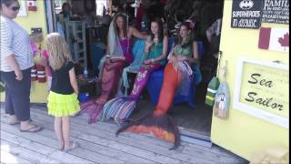 Canada Day with Halifax Mermaids 2014 Shore Things [upl. by Etnovaj]