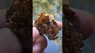 Wulfenite flowergemstone fineminerals wulfenite mineralspecimen [upl. by Annodal902]