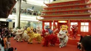 Barongsai Shuffle  Emporium Pluit Mall [upl. by Dominica]