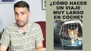 ¿Cómo hacer un viaje muy largo en coche con un gato [upl. by Ramal]