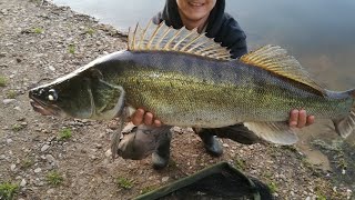 Nechtěný trofejní candát 91 cm přehrada Skalka [upl. by Crutcher]