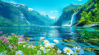 Beautiful Relaxing Music 🌿 Stop Overthinking Stress Relief Music 🌿 Gentle Music [upl. by Bahe]