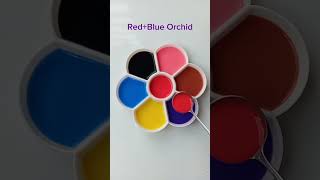 Red color making with 6 color mixing 🥰colormixing colormixingmagic art [upl. by Stu]