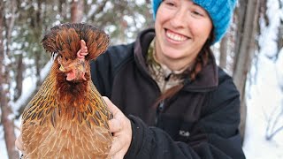 Keeping Chickens in Extreme Cold  Off Grid Alaska [upl. by Accisej]