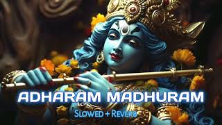 Adharam Madhuram slow  reverb Radha Krishna Bhajan bhakti song bhajan [upl. by Yemirej]