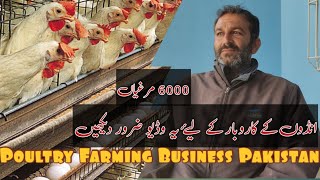 Poultry Farming eggs business in Karachi Pakistan  Adnan Azeem [upl. by Yoko]