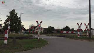 Bahnübergang Rehfeld Falkenberg 3 D  2682023  Železniční přejezd  German railroad crossing [upl. by Yauq]