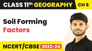 Soil Formation  Geomorphic Processes  Class 11 Geography [upl. by Audra]