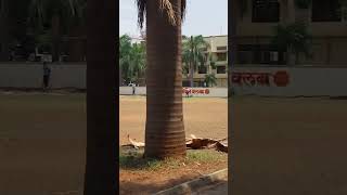 Pune tennis cricket ground [upl. by Vierno]