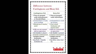 Difference between Cartilaginous and bony fish [upl. by Xam]