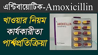 Amoxicillin 500 এর কাজ কি  amoxicillin 500 mg capsule bangla  Amoxicillin review in bangla [upl. by Llenreb427]