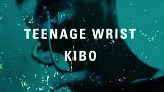 Teenage Wrist  quotKiboquot Full Album Stream [upl. by Locklin]