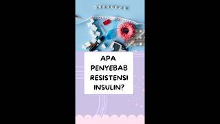 Apa Penyebab Resistensi Insulin GDN 65 Channel [upl. by Adnowat]