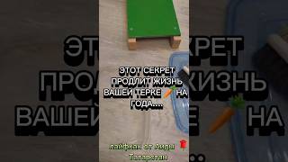 Акция Выгодная рассрочкаquot koreiskiesalatiobuchenie [upl. by Gabrielle]