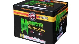 Mammoth Brocade 10 shot  Dominator Fireworks  DM574B [upl. by Raina]