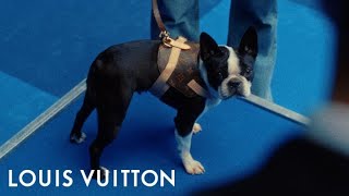 Best in Show  LOUIS VUITTON [upl. by Yanrahs]